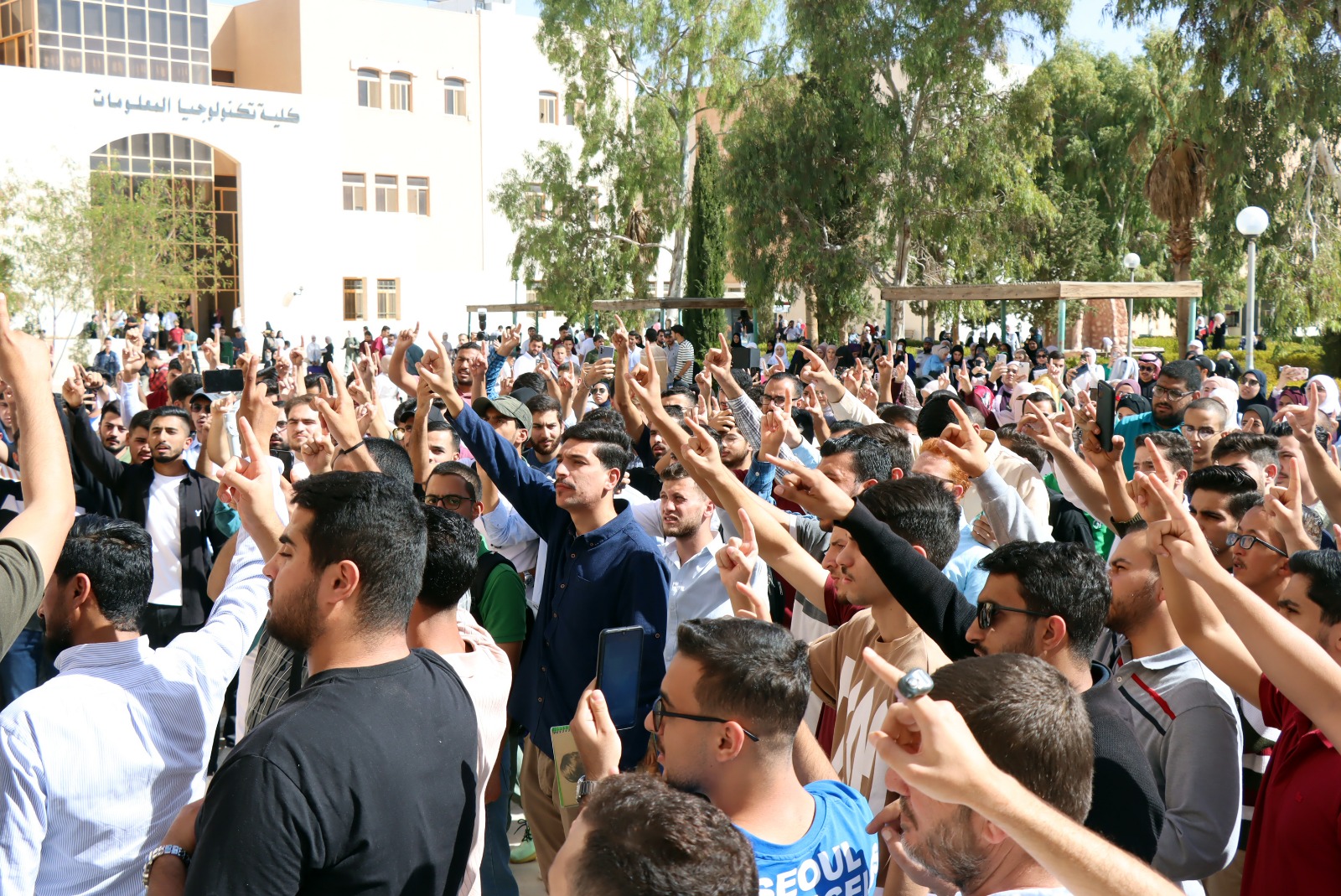 صورة 2